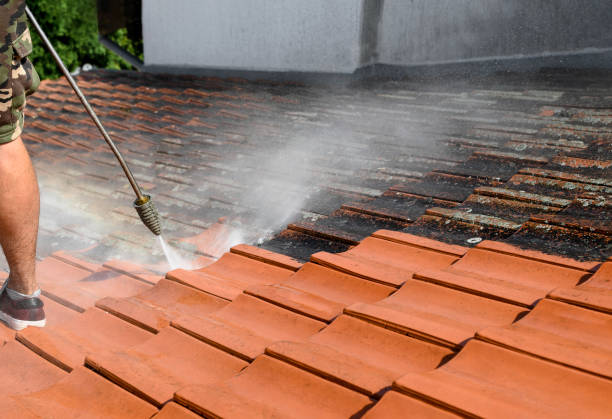 Best House Pressure Washing  in Haughton, LA