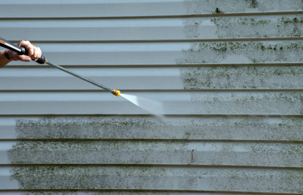 Best Pressure Washing Company Near Me  in Haughton, LA