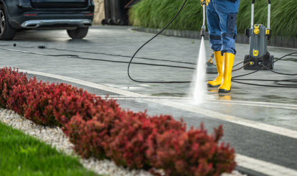 Best Roof Pressure Washing  in Haughton, LA